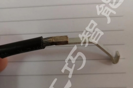 样品